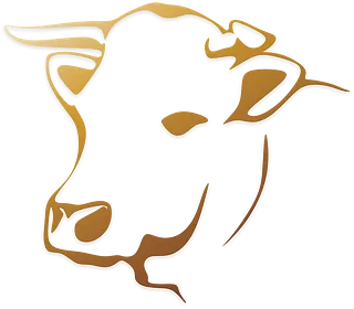 Logo, 